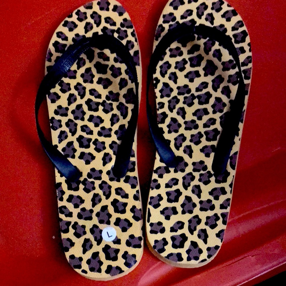 Flip Flops new no tags.